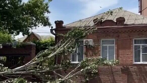 � �������-��-���� ������ ����� �� ����� ����