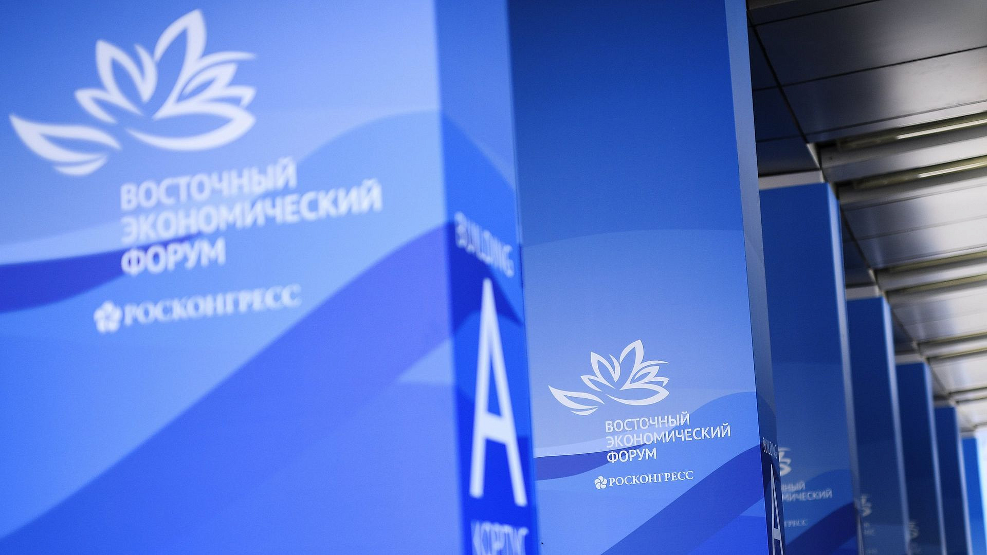 Россия и Китай нарастили торговлю энергоресурсами