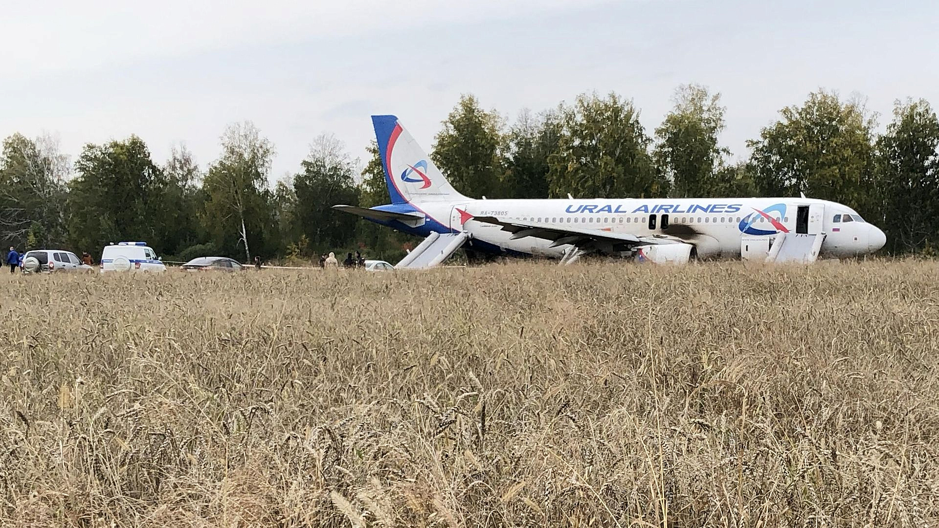 Посадивший самолет в пшеничном поле пилот поблагодарил всех за поддержку