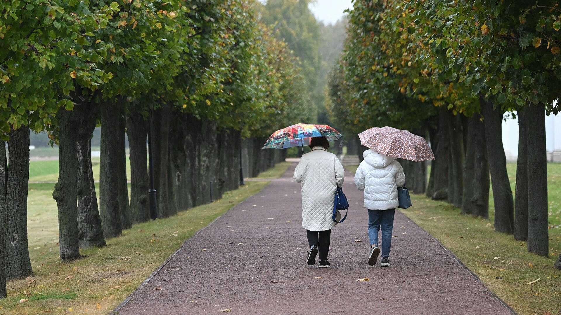 �������� �������������� ������ � ������ �� ��������