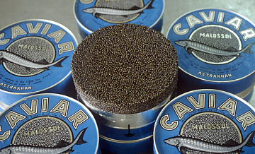 ������� ������� ���������� ������ ���� � ������