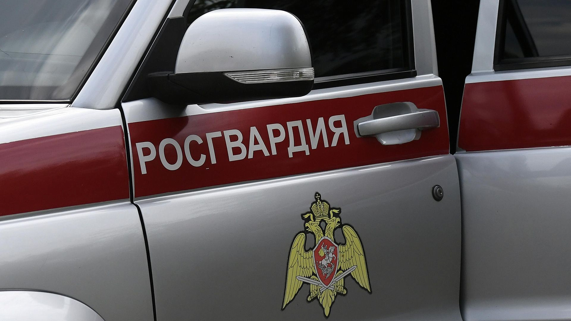 В Петербурге задержали двух мужчин, разгромивших ресторан