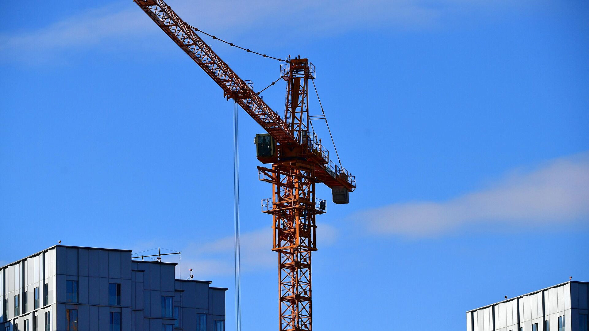 � ���������� ������������ ���� ���� ����� ���������� �����