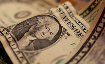 ����������� ���� ������� �������� ���� 81 ����� ������� � 24 �������