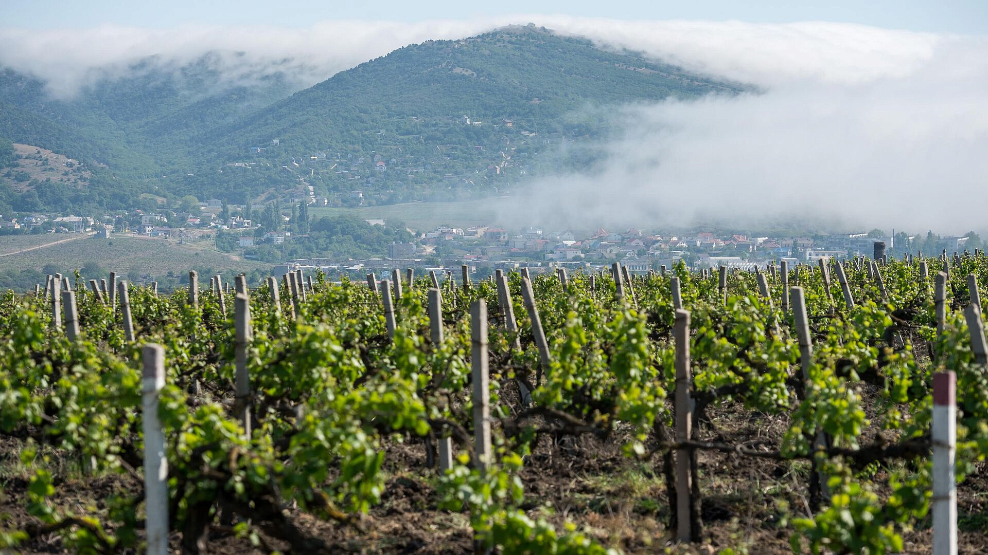 Аксенов призвал бизнес не завышать цены на отдых в Крыму