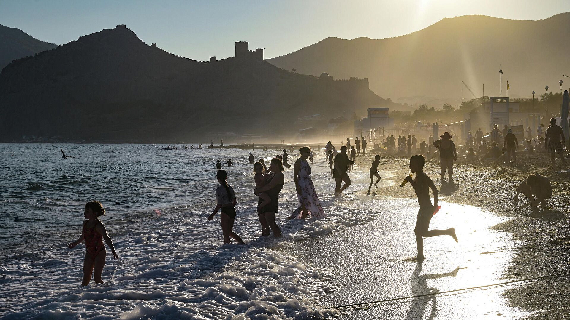 Россиянам напомнили о запрете выгуливать домашних животных на пляжах