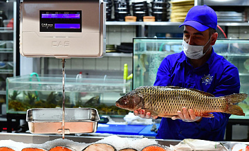 Более 7 тысяч исследований рыбной продукции провели в Московской области