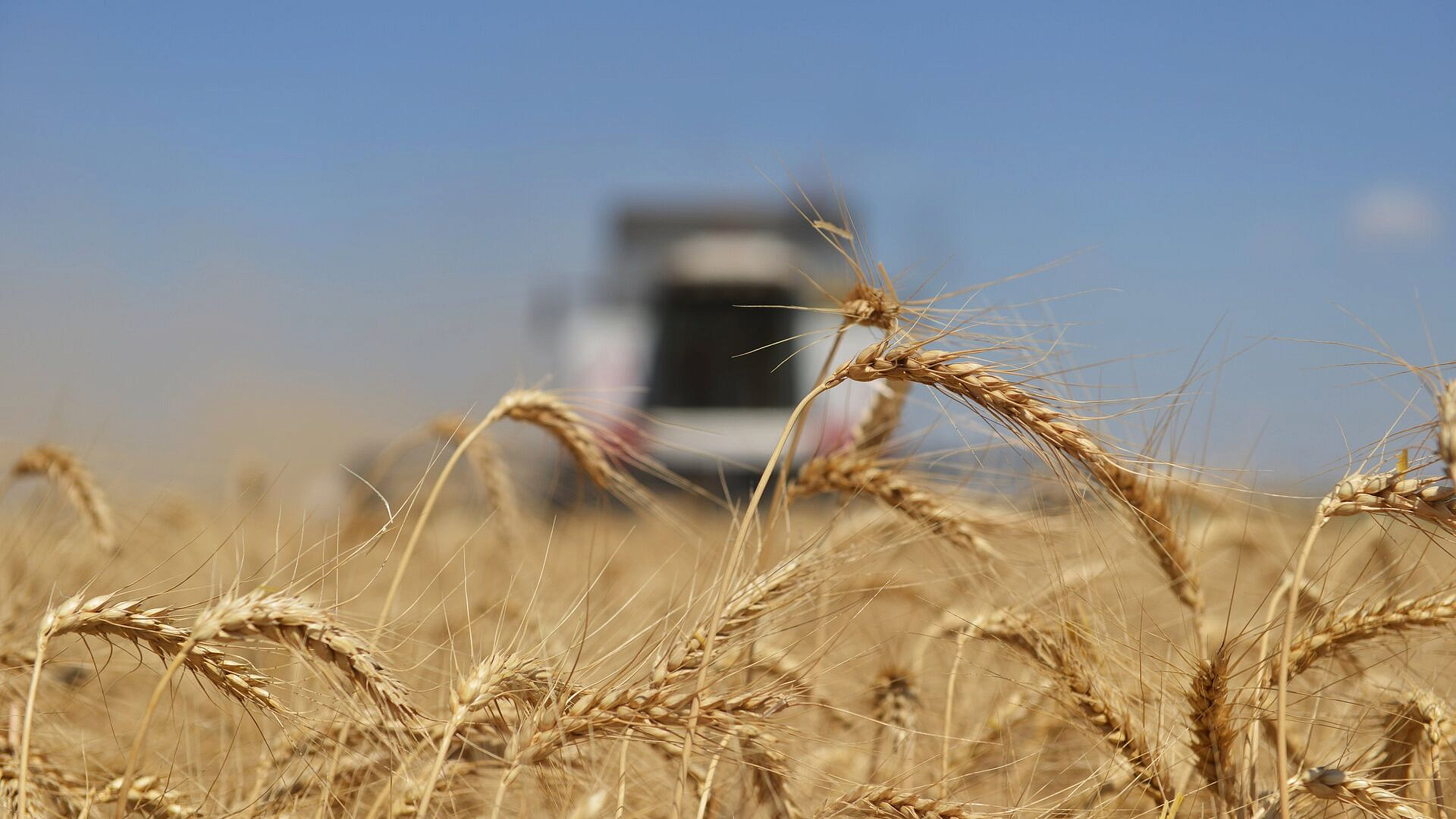 ������� �� ������� ������� � 21 �� 27 ��� ��������