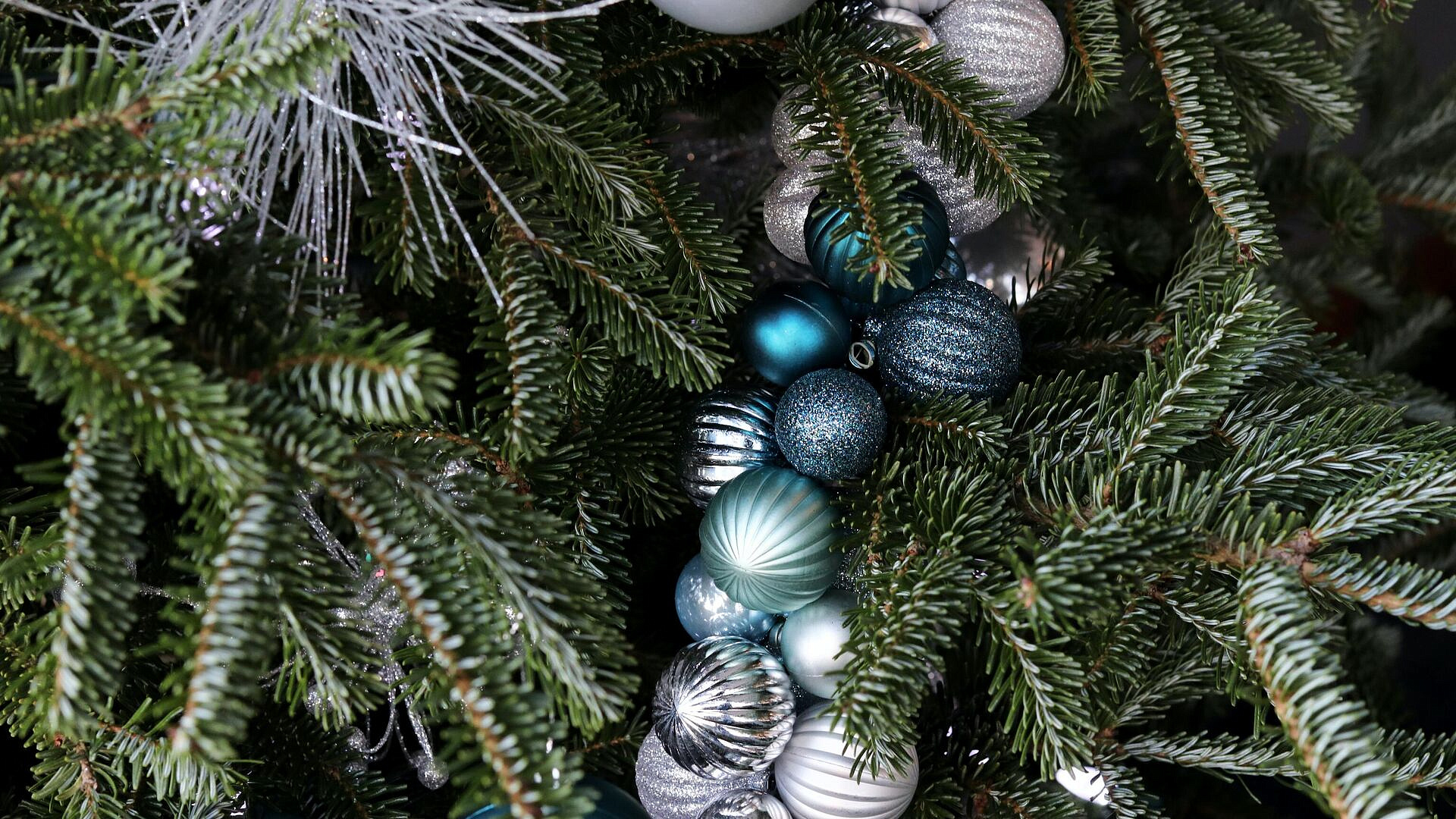 ����� 8,4 ��� ����� ������ ������� � ��������������� ���� � ����������