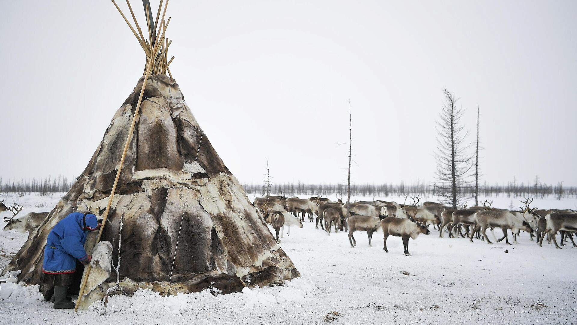 ����� �������� ����� � ������������� �������� ������ �����