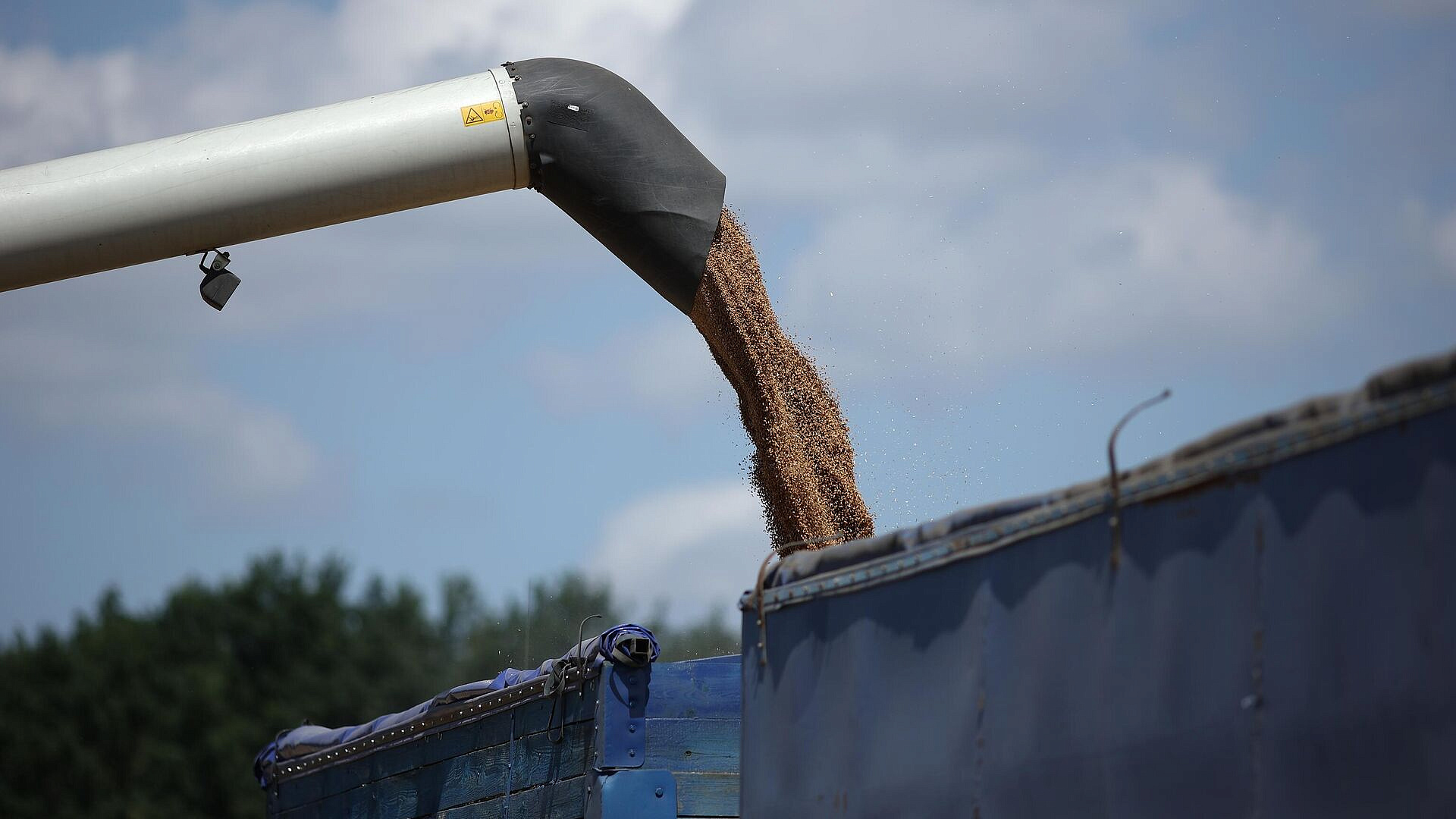 В Польше раскритиковали бездействие ЕК в вопросе поставок украинского зерна