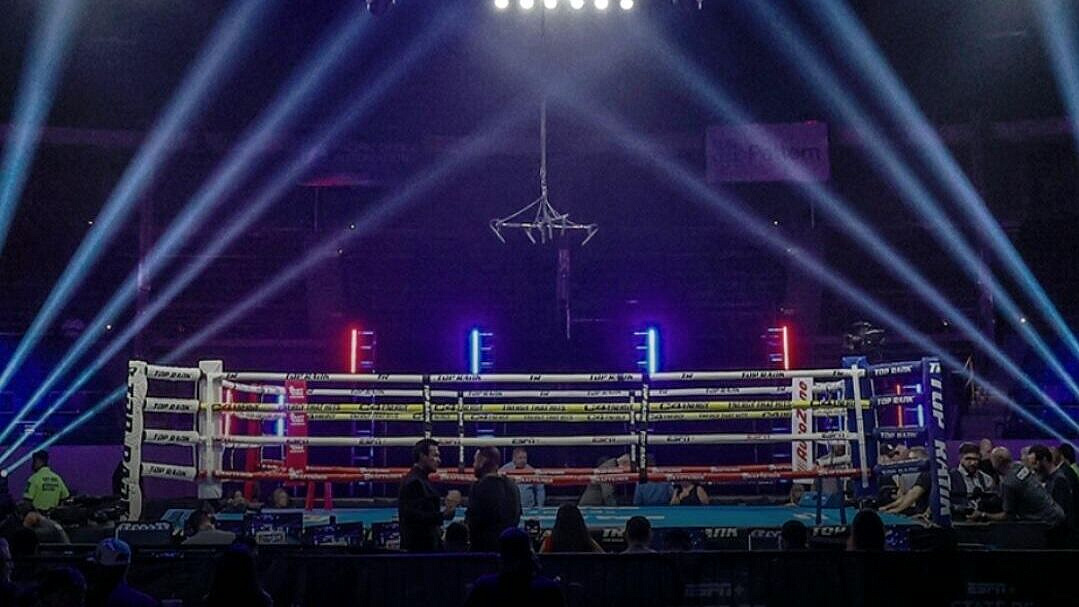 ��������� ����� ������ ������ ������ �� ������� � �������� World Boxing