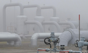 Эксперт назвала причину, по которой растет экспорт российского газа в ЕС