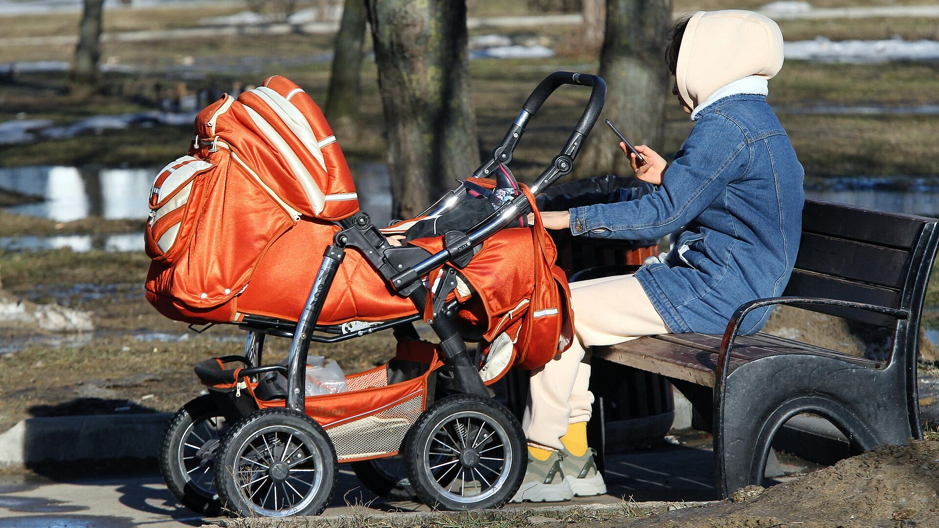 Миронов предложил ввести зарплату для мам