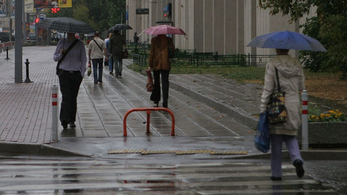 В Подмосковье объявили "желтый" уровень погодной опасности