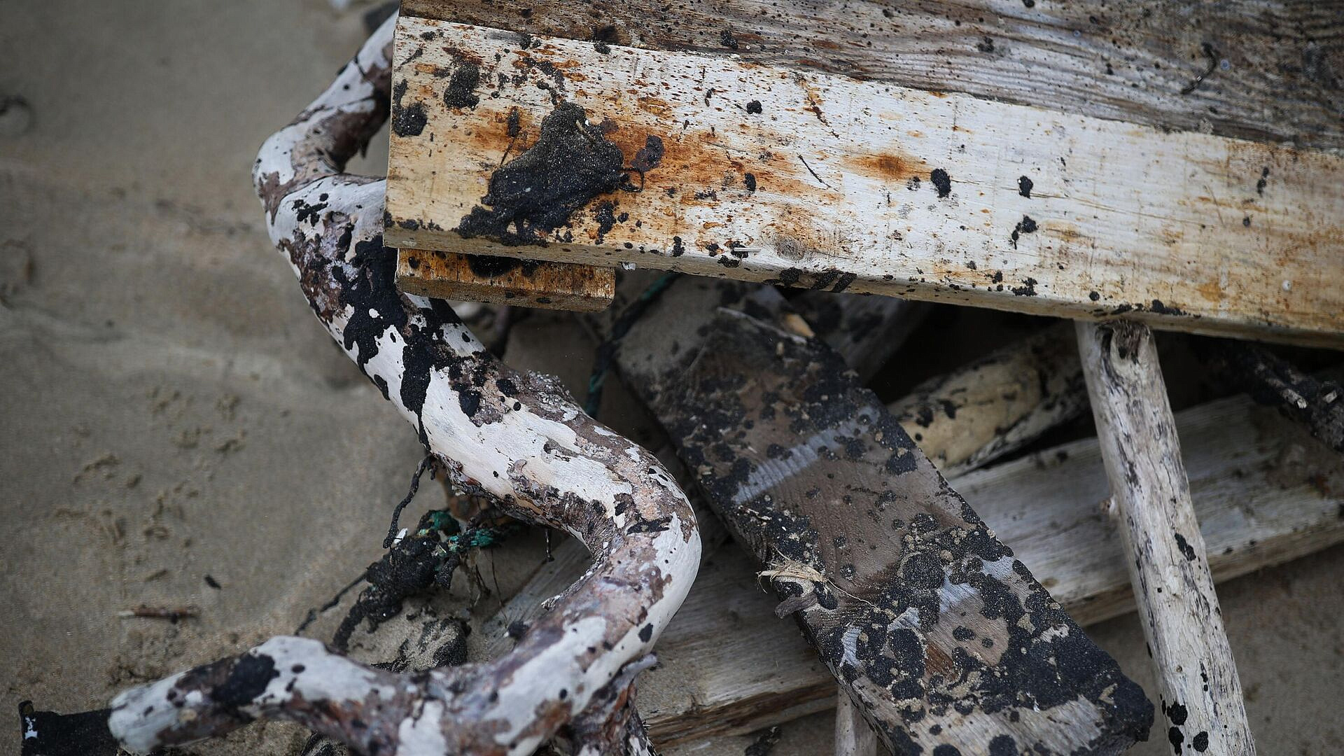 В Правительстве рассказали о ликвидации последствий ЧС в Черном море