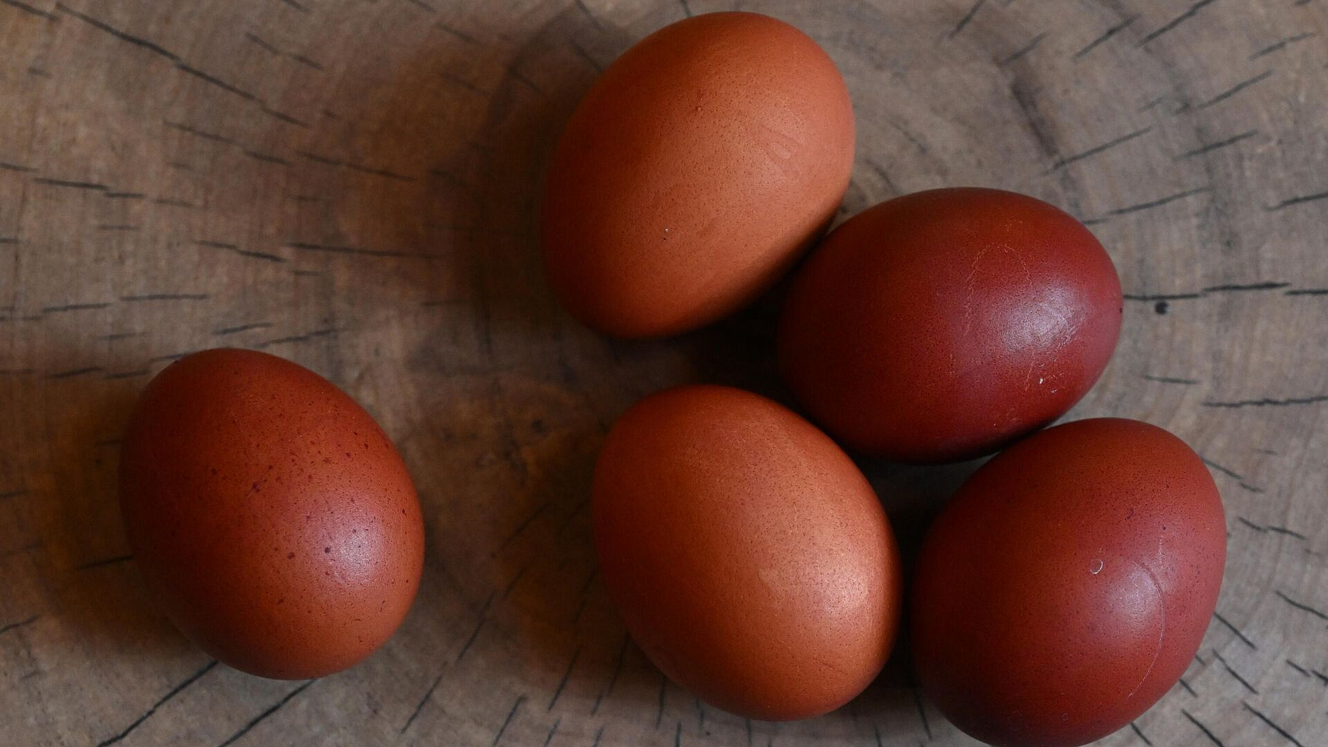 Врач рассказал, кому нельзя есть яйца даже на Пасху