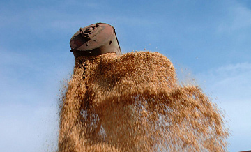 В России продлят запрет на экспорт риса