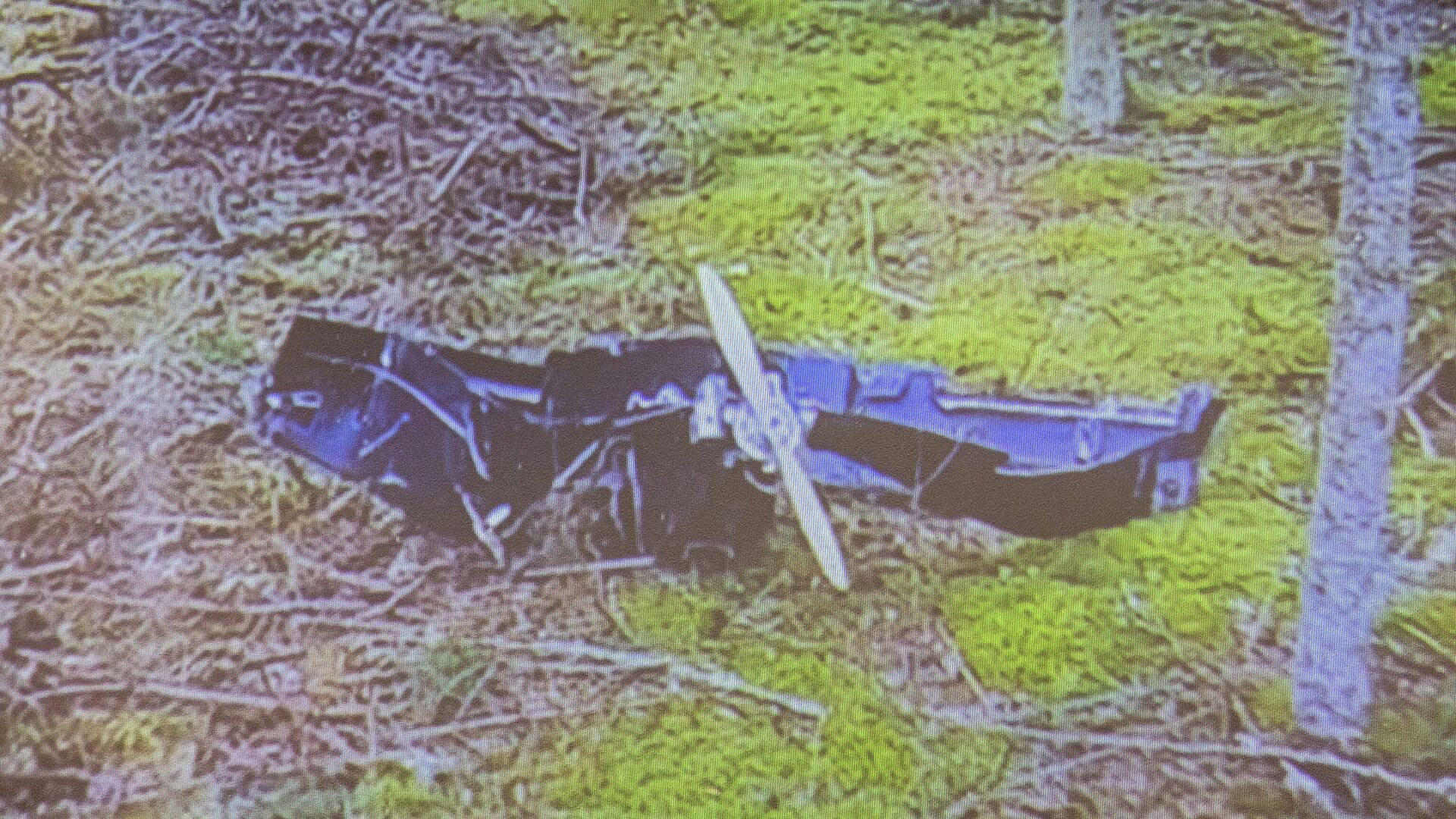 Эксперт рассказал, как украинские дроны могли упасть в Финляндии