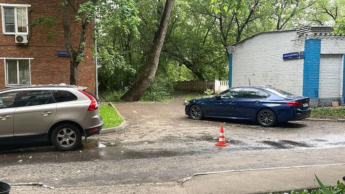 ��������� ������������� �������� ������� �� ������ ������ � 2024 ����