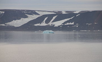 В АТП сообщили о возможных совместных проектах России и США