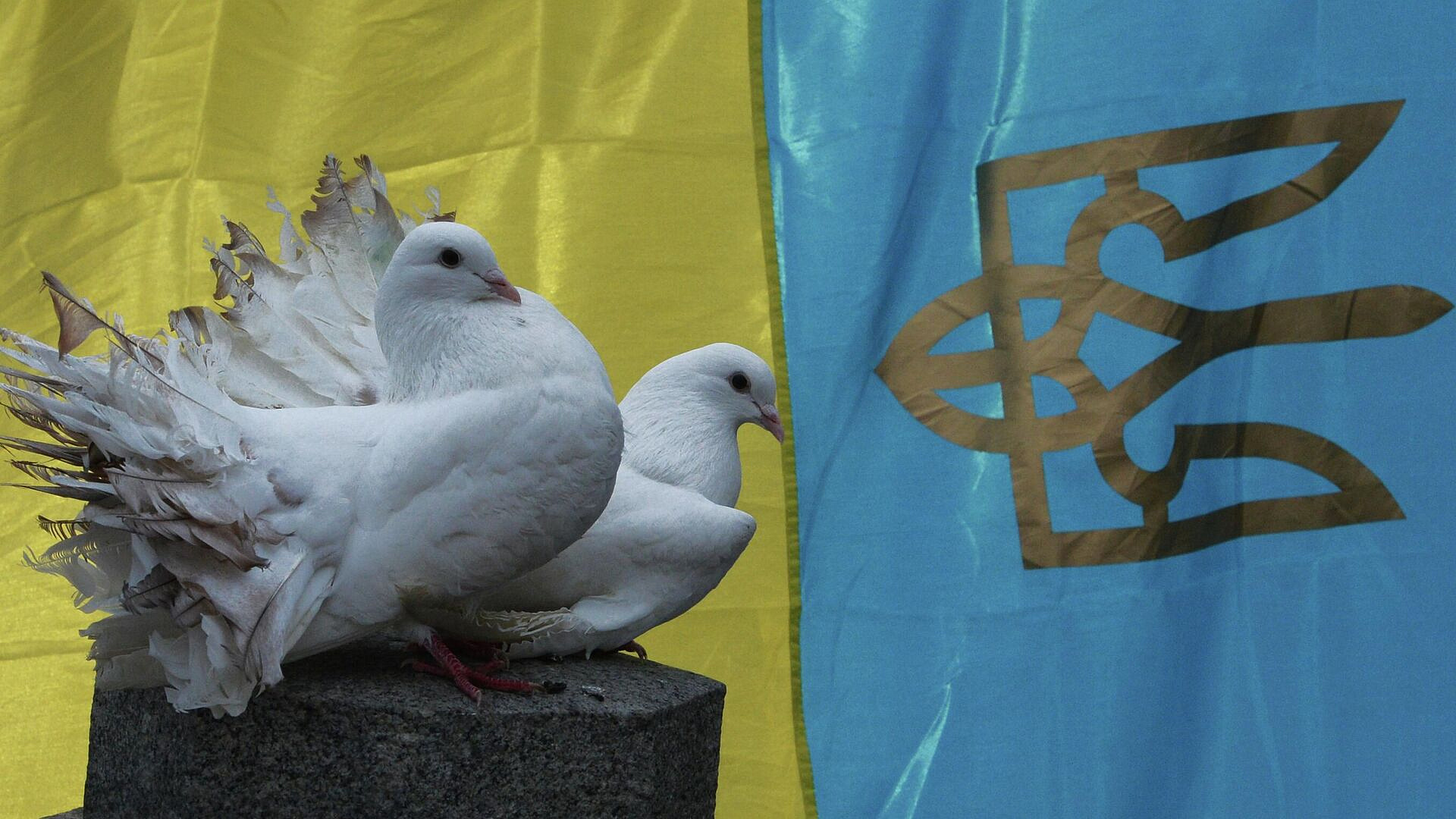 СМИ: следующая встреча по Украине может пройти на будущей неделе