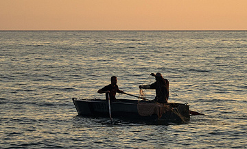 Турция может ограничить выход рыбаков в Черное море, пишут СМИ