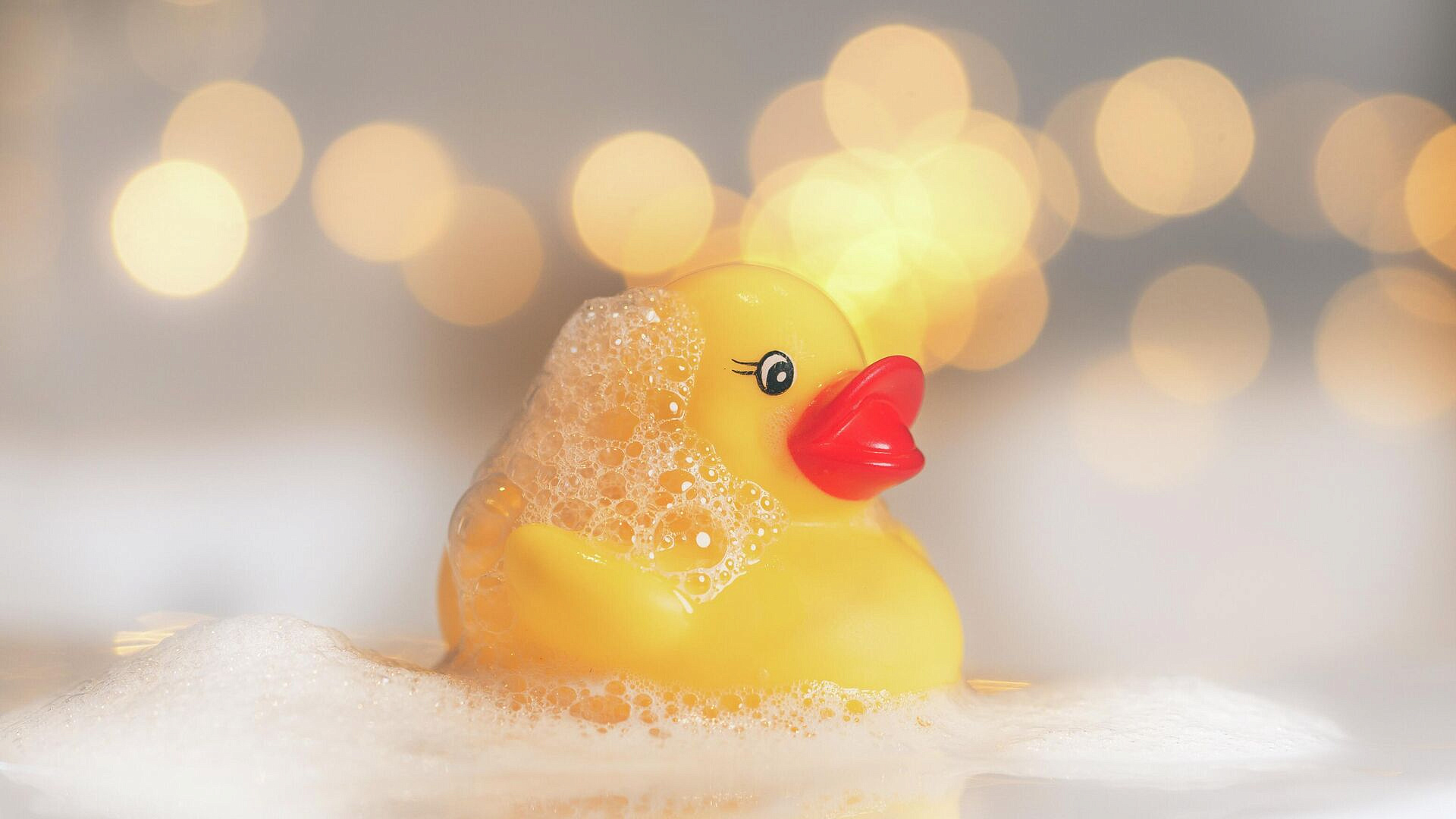 � ���� ������� ���������� � ������ �������