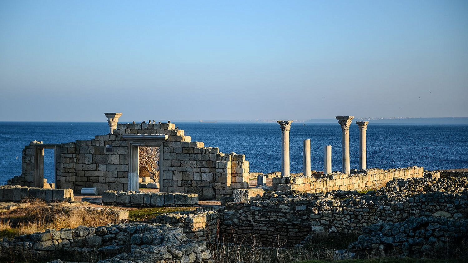 ��������� ���������������� ������� �� ������ ����� "�������� �����������"