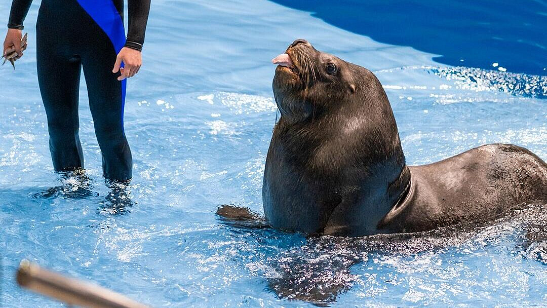 ������� ��� �� "�����������" ������� ����� ���� ������ ���� � 8 ����� 