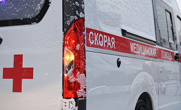 В Брянской области два человека погибли в ДТП с грузовиком