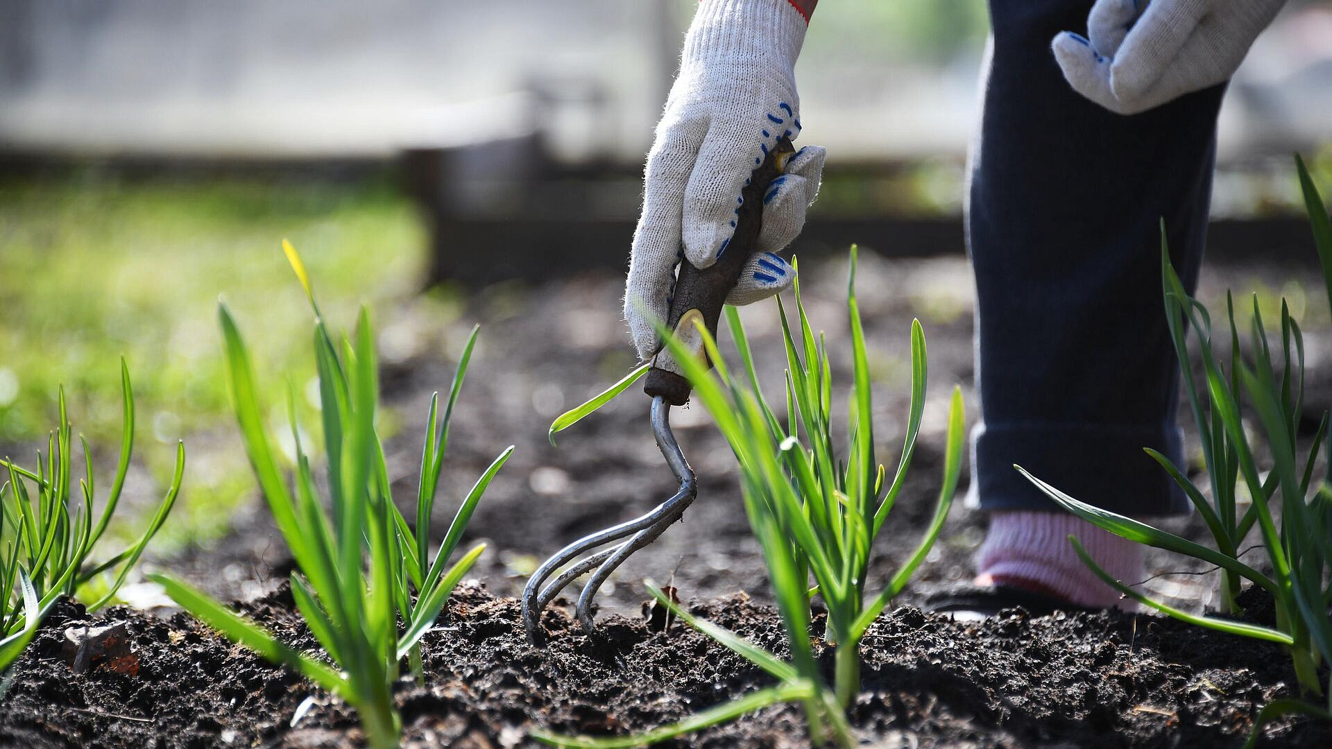 ������� ���������� � ������ ��� ������� ����� ��� ������ �������