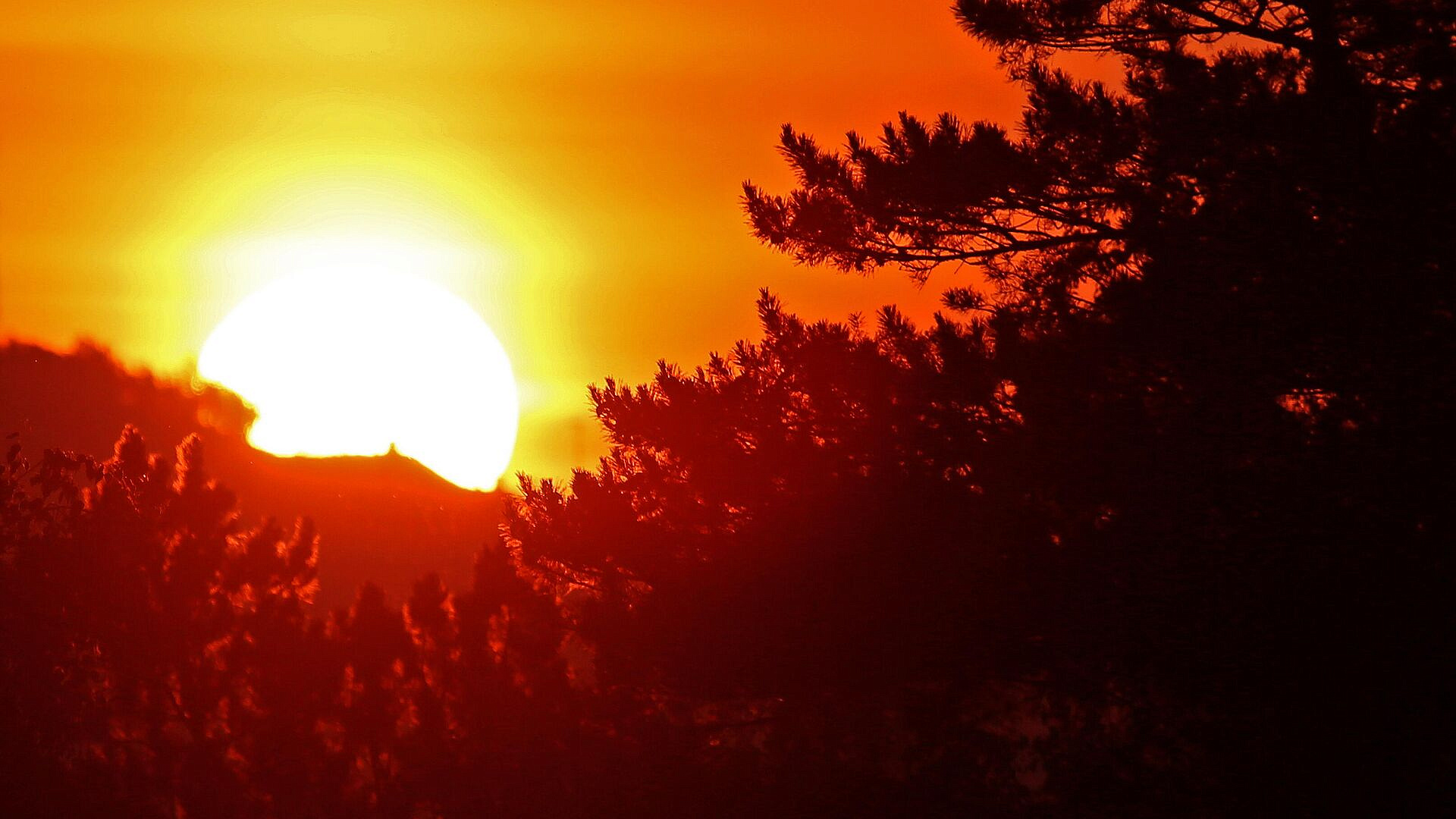 Красивые открытки с пожеланием доброго утра самым любимым и близким