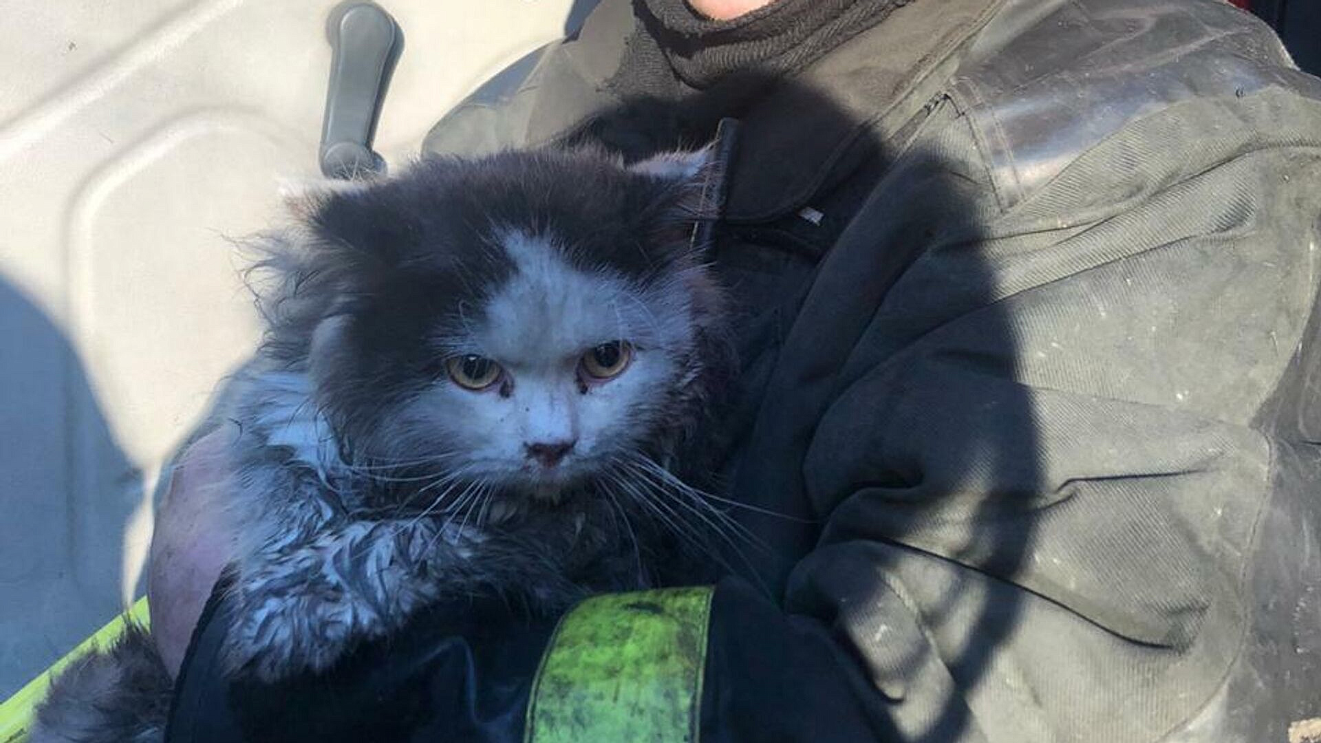 ��� ������ � ������������ ���������� ��� ������ 50 ����� � ������