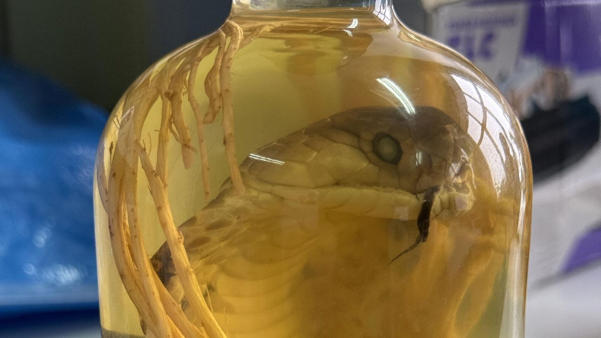 � ��������� �������� ������ ������� ���� � ������ ������