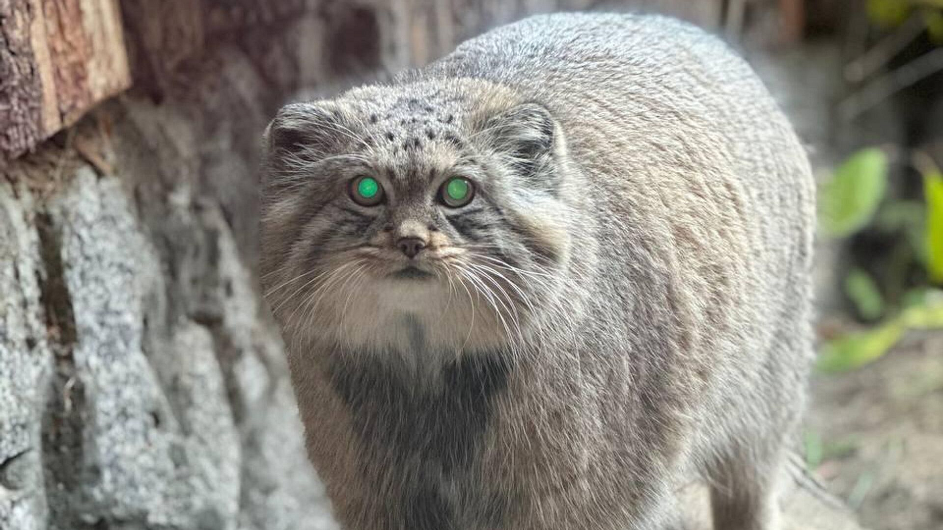 � ������������� �������� ��������, ��� ��������� ����� �� � ����