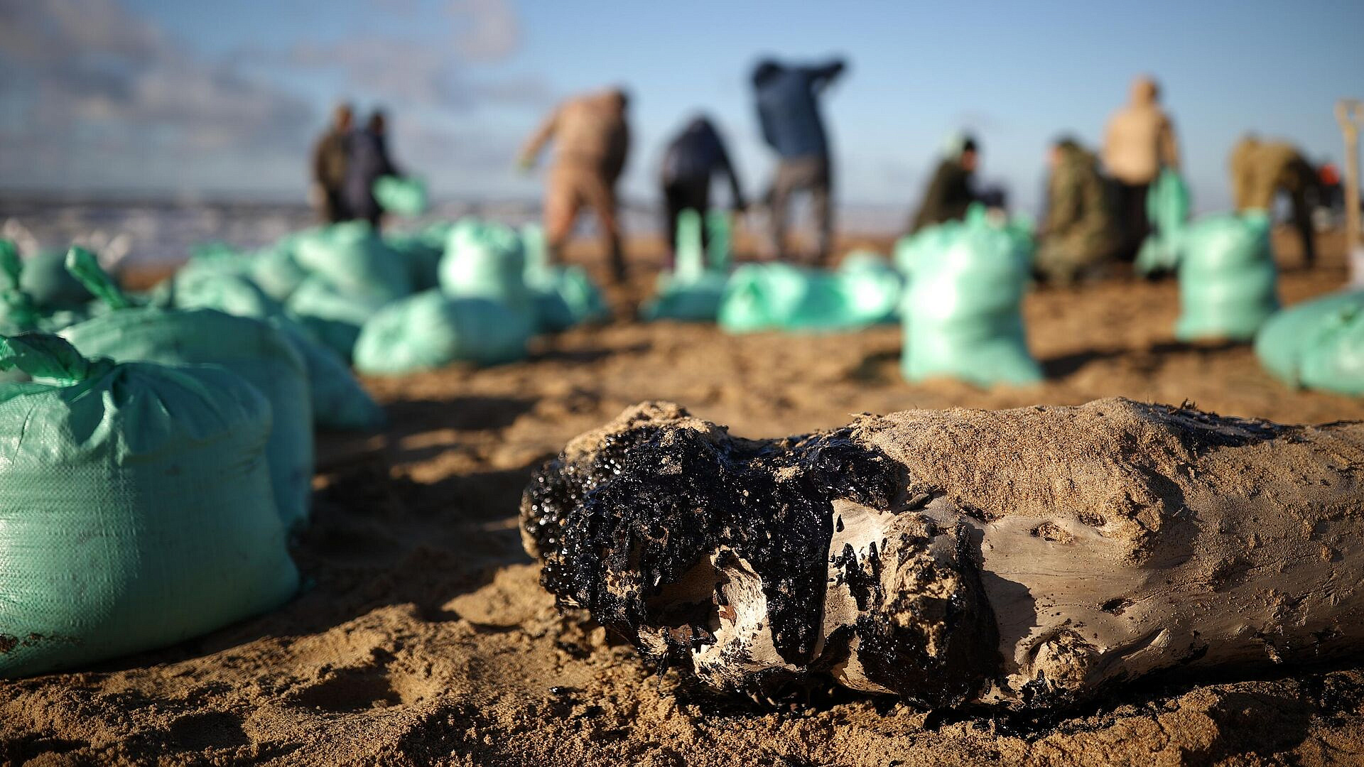 �� ������ ������ ������������� ����� ������� ������ ����� �� � ���������