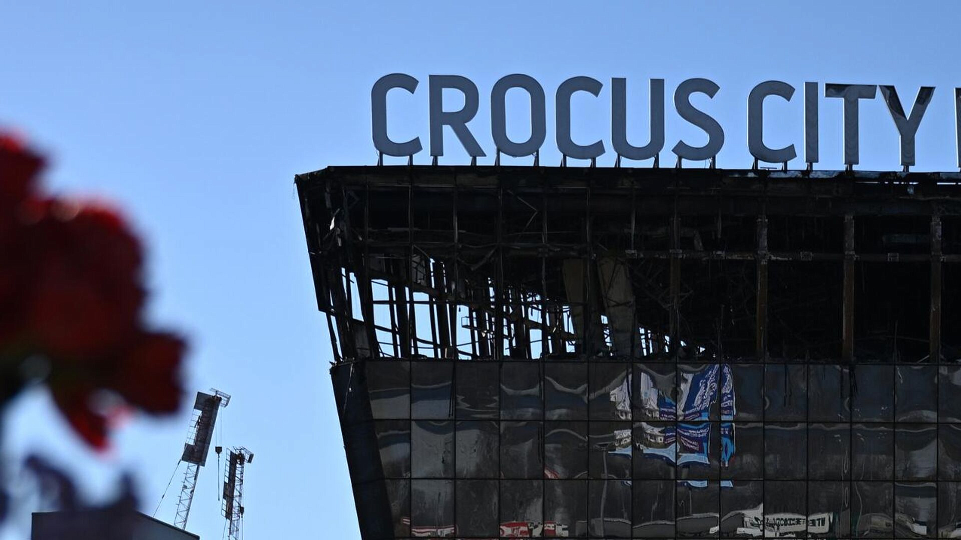 Сомнений в вовлеченности Украины в теракт в "Крокусе" нет, заявил Небензя