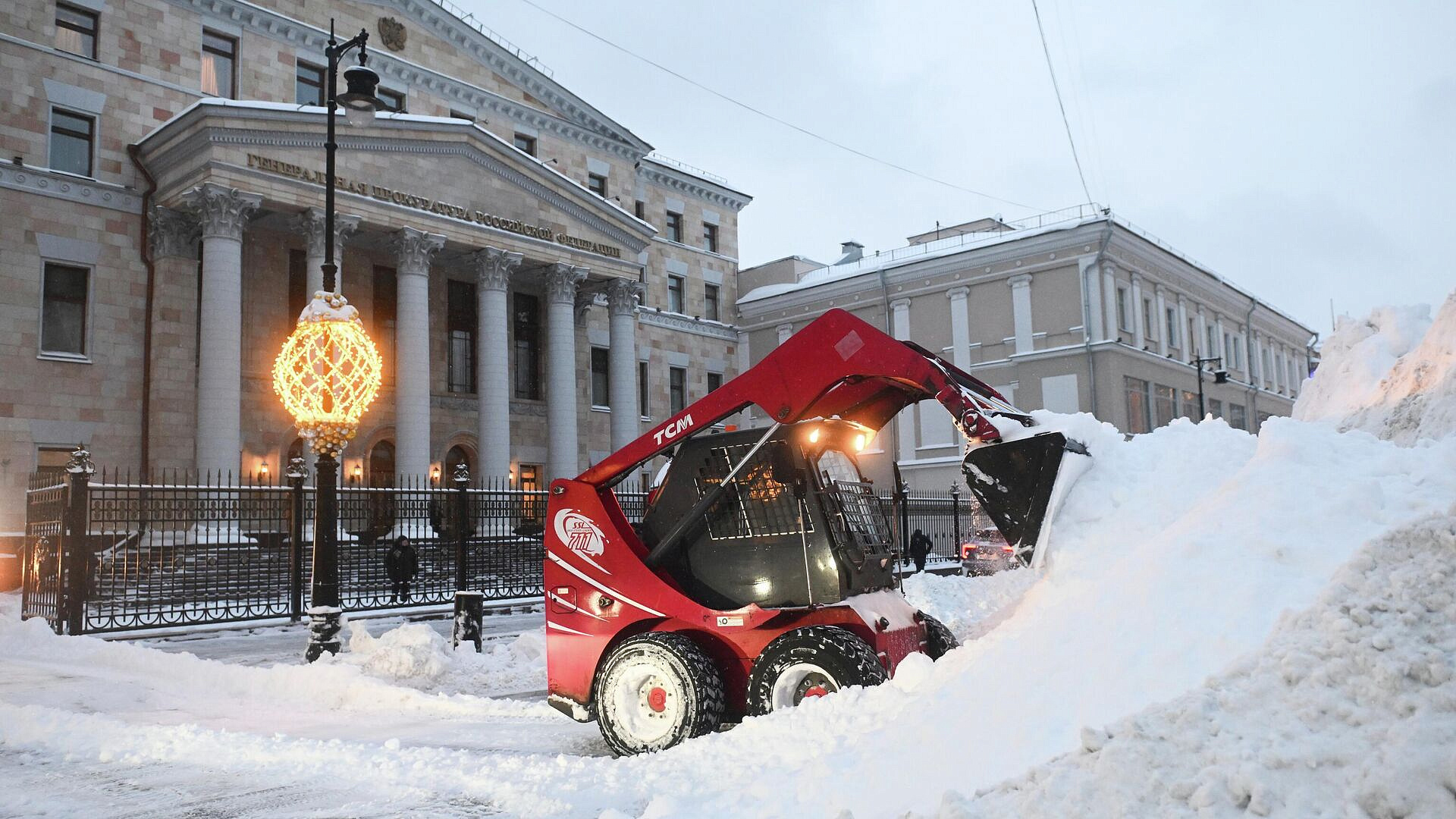 Экологи предупредили о нашествии насекомых из-за снегопадов в Москве