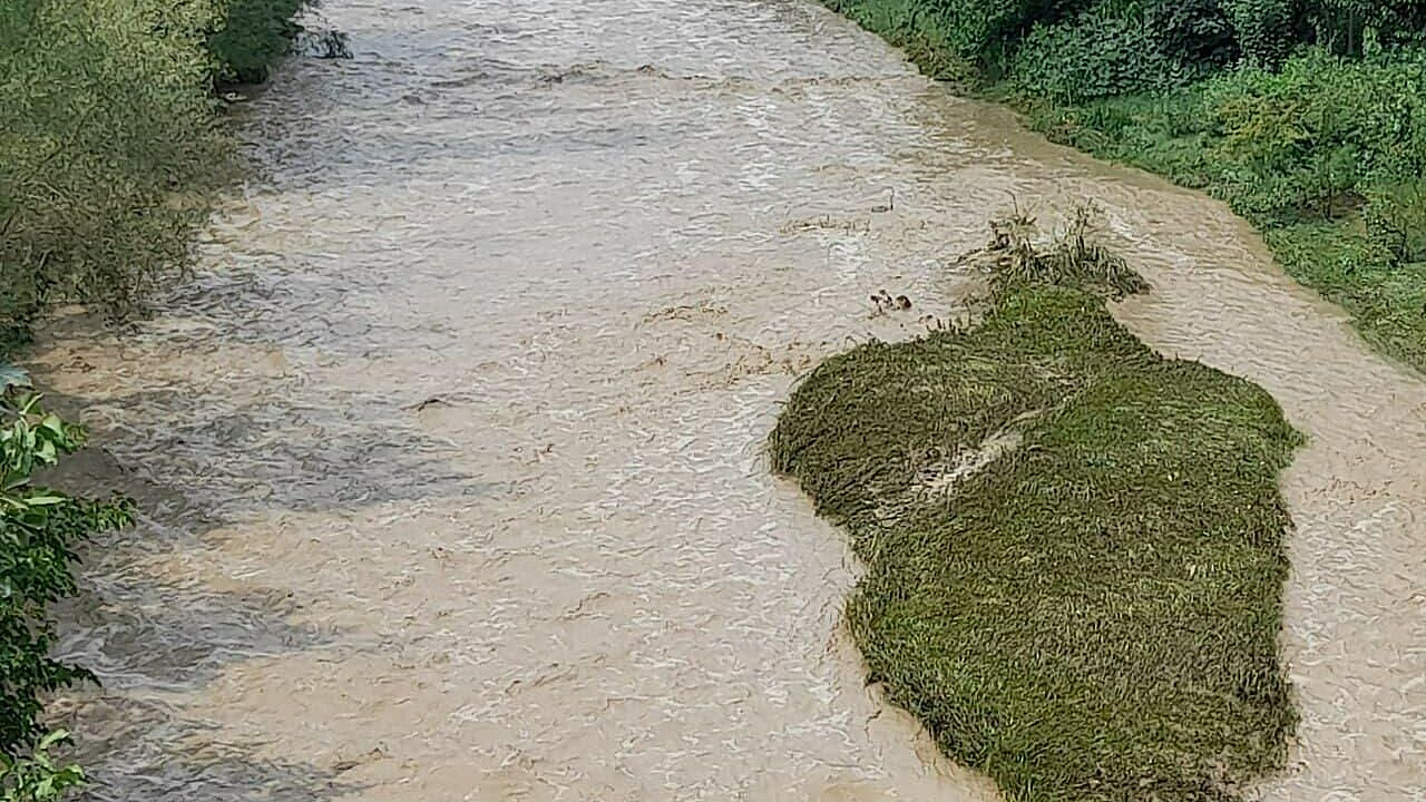 В Воронежской области несколько домов пострадали из-за размыва склона