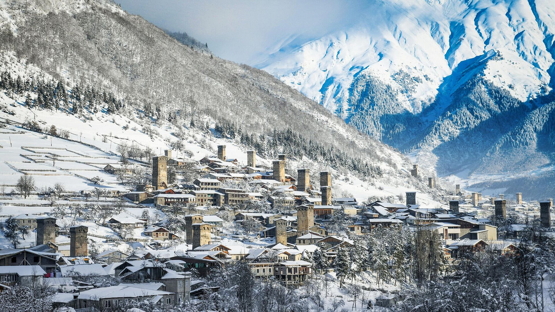 � �������� ��� ������ ����� ���� �������