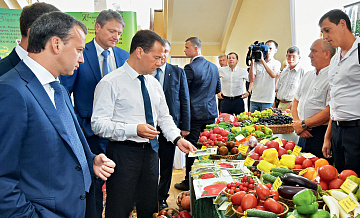 Россия не смогла достичь целей по импортозамещению продуктов