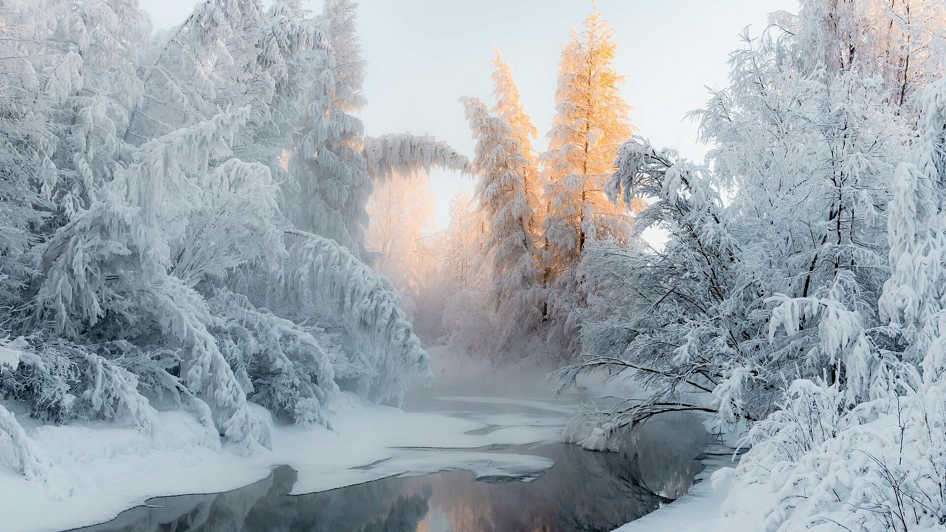 � ������ ����������� ������������� ������� �������� ��������������