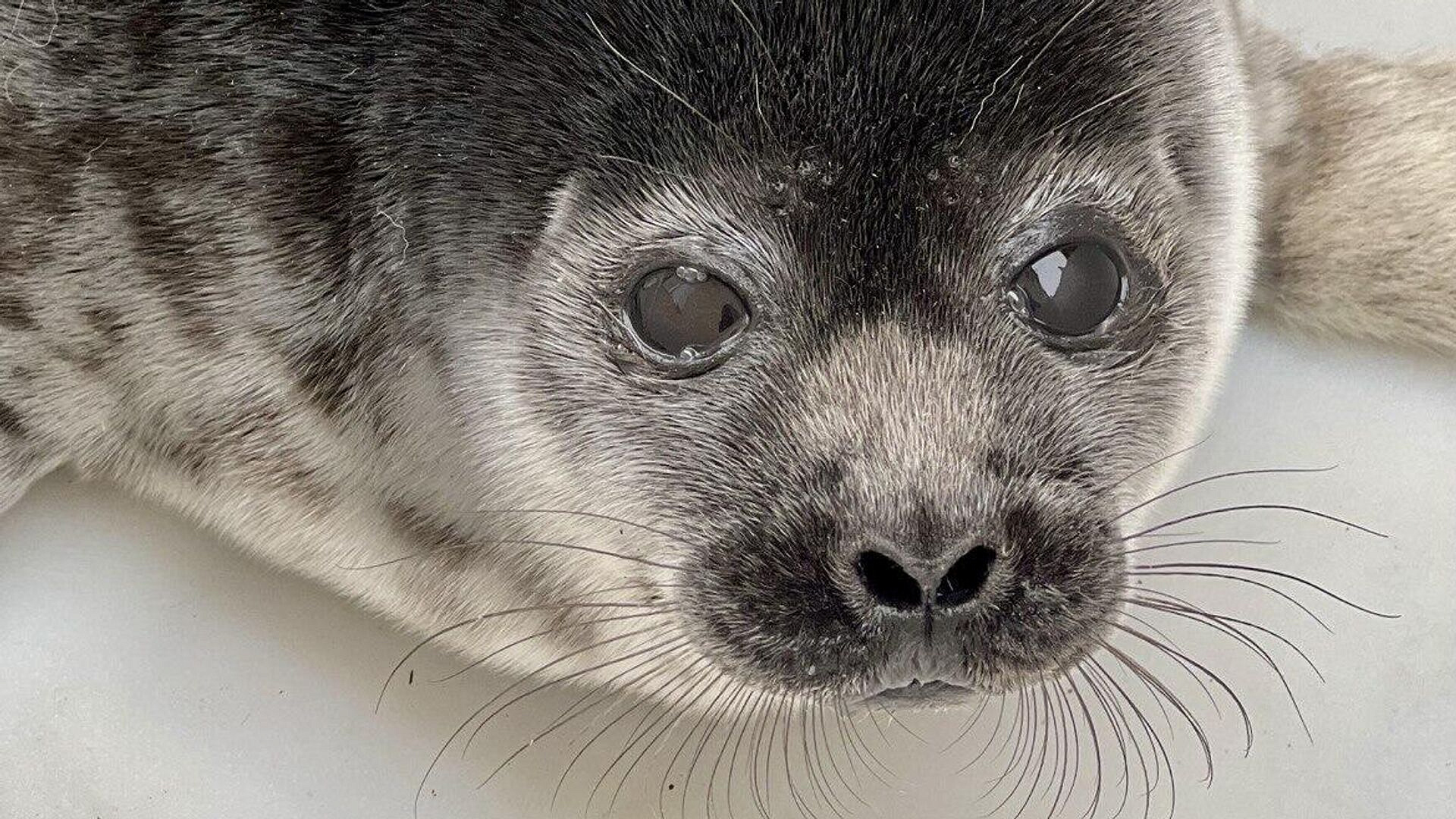 � ���� ������ �������� ��������� ��������� �����