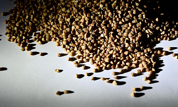 Минсельхоз держит на особом контроле ситуацию с ценами на гречку