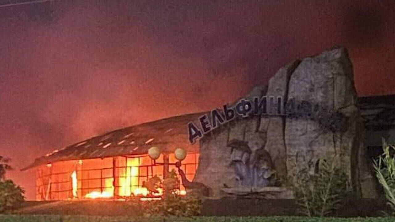 На Кубани не подтвердились данные о погибших из-за пожара 28 крокодилах