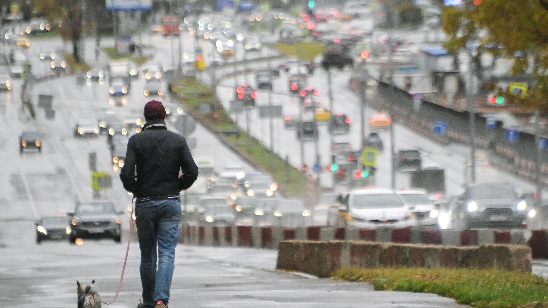 В Москве рассказали, как правильно гулять с приютской собакой