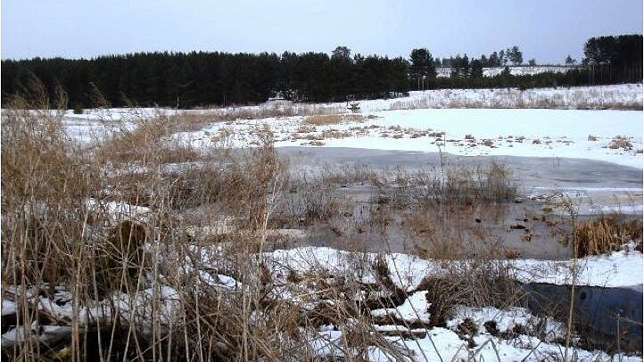 ������������� ��������� ������ ������� ���� � �����