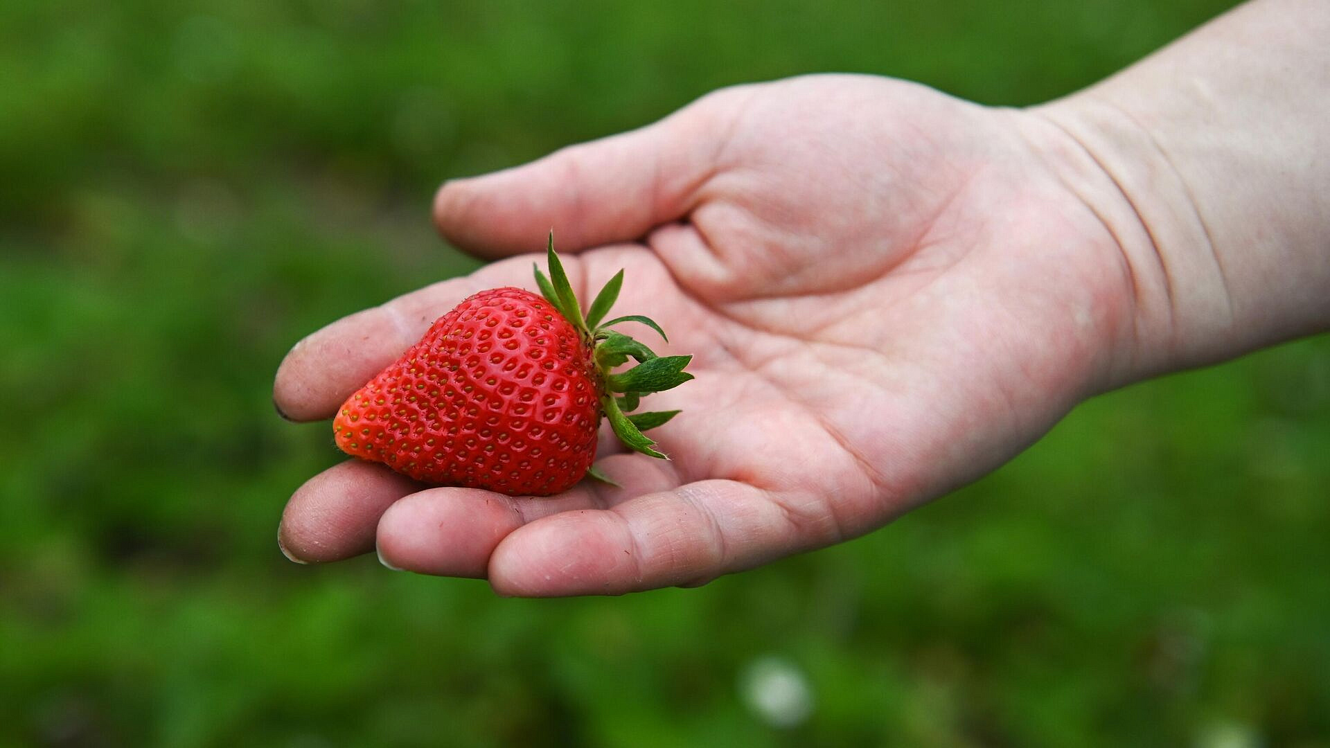 ���� ���������, ������ ������ �������� �������� ���������� ��������