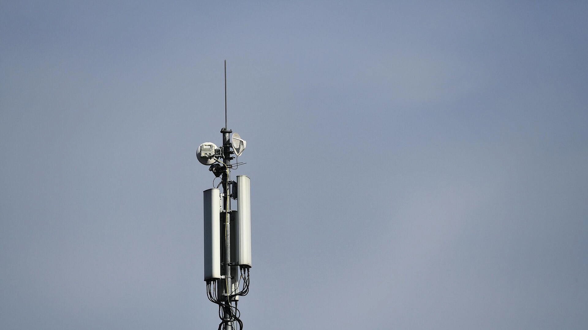 "Радио Судного дня" передало более 20 сигналов за день